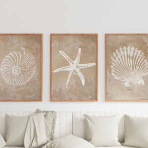 Può includere: Tre stampe incorniciate con sfondo beige e silhouette bianche di conchiglie. Le stampe presentano una conchiglia di nautilus, una stella marina e una conchiglia di capesante.