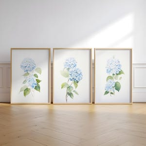 Conjunto de 3 gravuras em aquarela de hortênsias azuis para decoração de parede com flores.