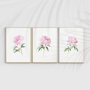 Pink Peony Wall Art, Watercolor Painting, Minimalist Wall Decor, Nursery wall art, Pink Floral Art,  set of 3