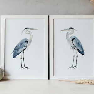 May include: Two framed wall art prints featuring watercolour illustrations of grey herons. Each print displays a single heron standing in profile, rendered in shades of blue and grey against a plain white background, enclosed in white frames.
