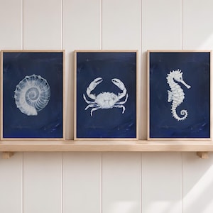 May include: A set of three framed wall art prints featuring white illustrations of a spiral seashell, a crab, and a seahorse centred on a deep navy blue background. Each print is housed in a light-coloured wooden frame.