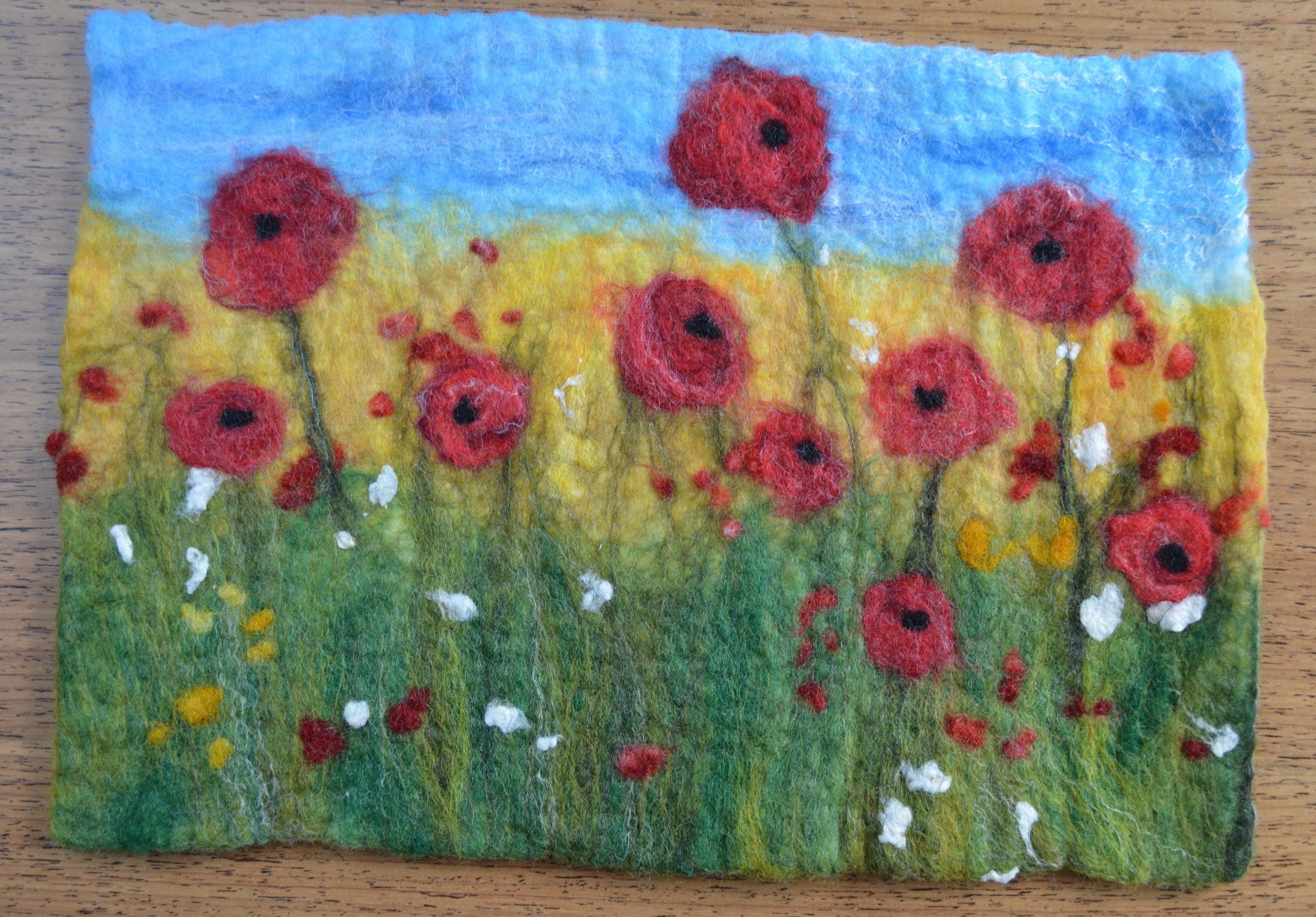 Poppy Fields Wet Felting Kit With Photo Instructions Wet Etsy