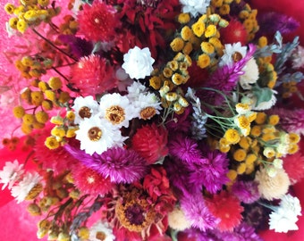 Luxurious dried flower bouquet (harvest 2023), from 10 cm