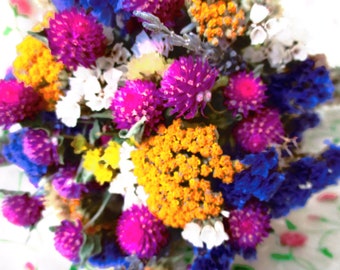 Dried flower bunch (harvest 2023), mixed, from 10 cm