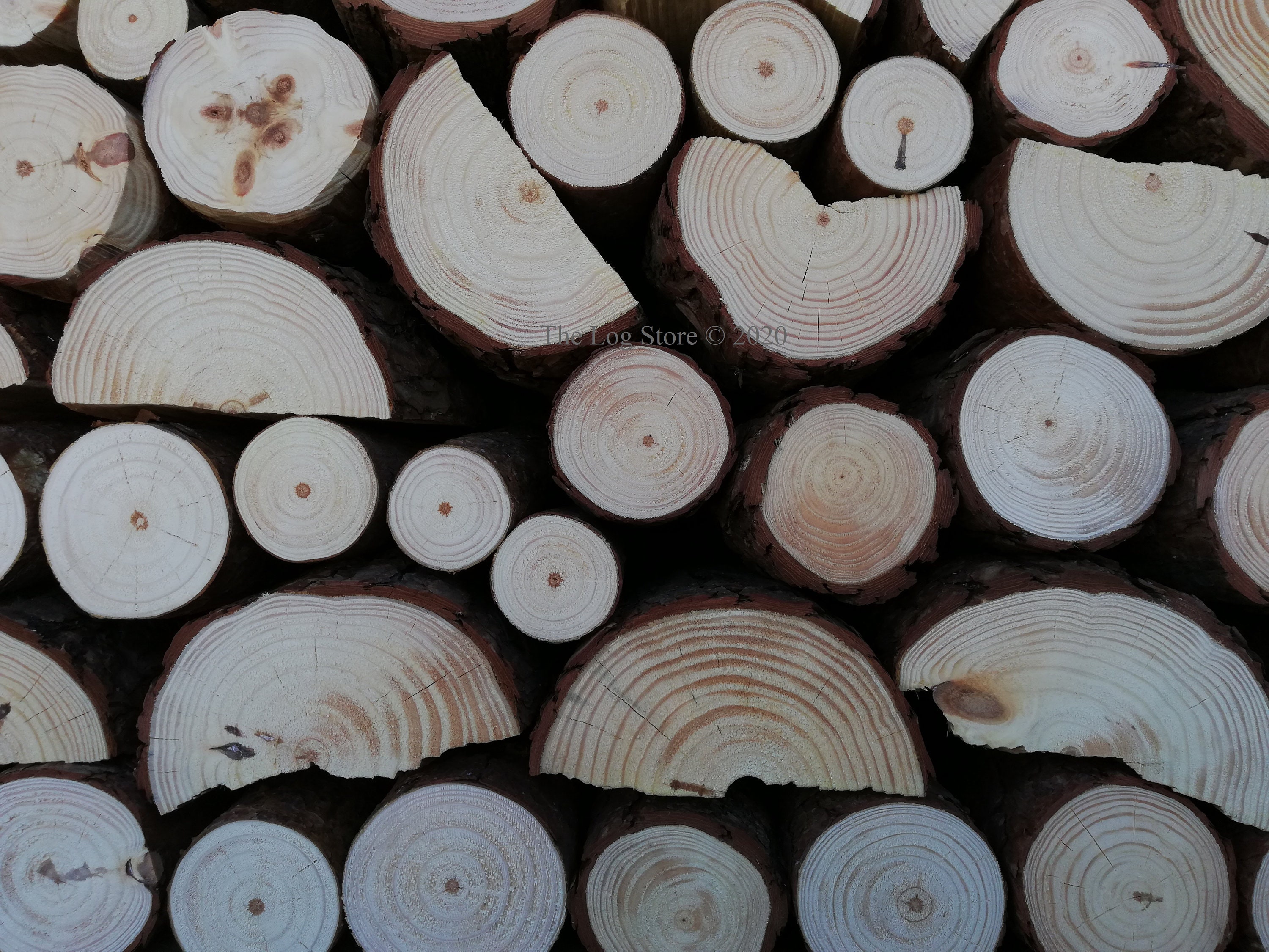 Decorative Natural Display Logs Etsy