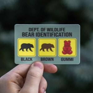 Pu&ograve; includere: Una carta rettangolare con la scritta "DEPT. OF WILDLIFE BEAR IDENTIFICATION" sopra tre riquadri gialli. I riquadri contengono sagome di un orso nero, un orso marrone e un orsetto gommoso rosso, con le parole "BLACK", "BROWN" e "GUMMI" sotto.