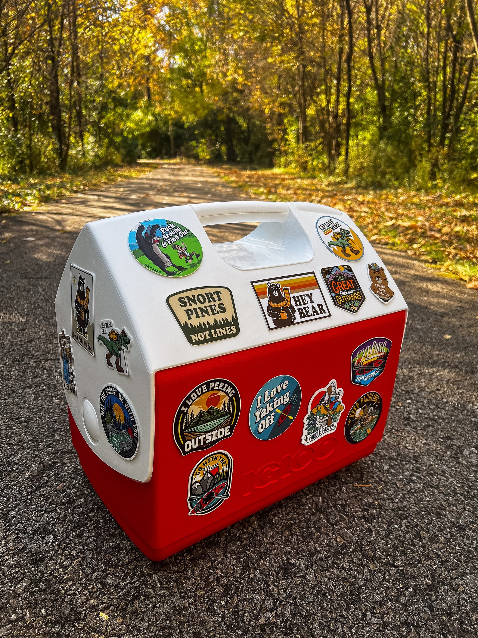 Roll A Fatty Fat Tire Bicycle Sticker, Fat Tire Bike Sticker, Biking ...