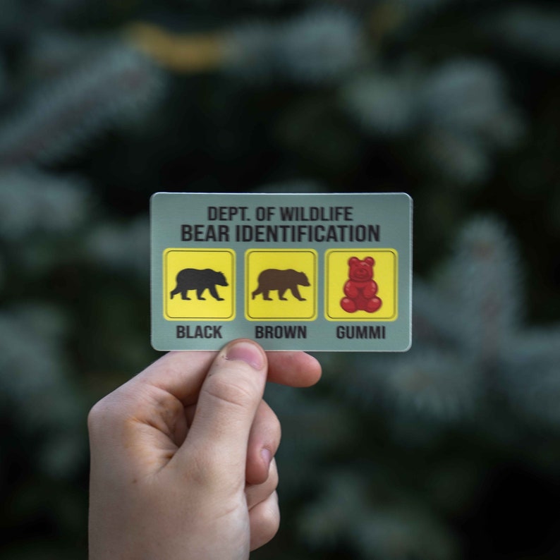 Pu&ograve; includere: Una carta rettangolare con la scritta "DEPT. OF WILDLIFE BEAR IDENTIFICATION" sopra tre riquadri gialli. I riquadri contengono sagome di un orso nero, un orso marrone e un orsetto gommoso rosso, con le parole "BLACK", "BROWN" e "GUMMI" sotto.