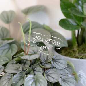 Clear Plant Marker | You Grow Girl | Plant Mom | Plant Dad | Plant Signs | Plant Stake | Plant Mom | Plant Lady | Garden Sign