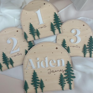 Forest Monthly Milestone Markers | Milestone Marker | Wood First Year Photo Prop | Monthly Age Marker | New Parent Gift | Baby Shower Gifts