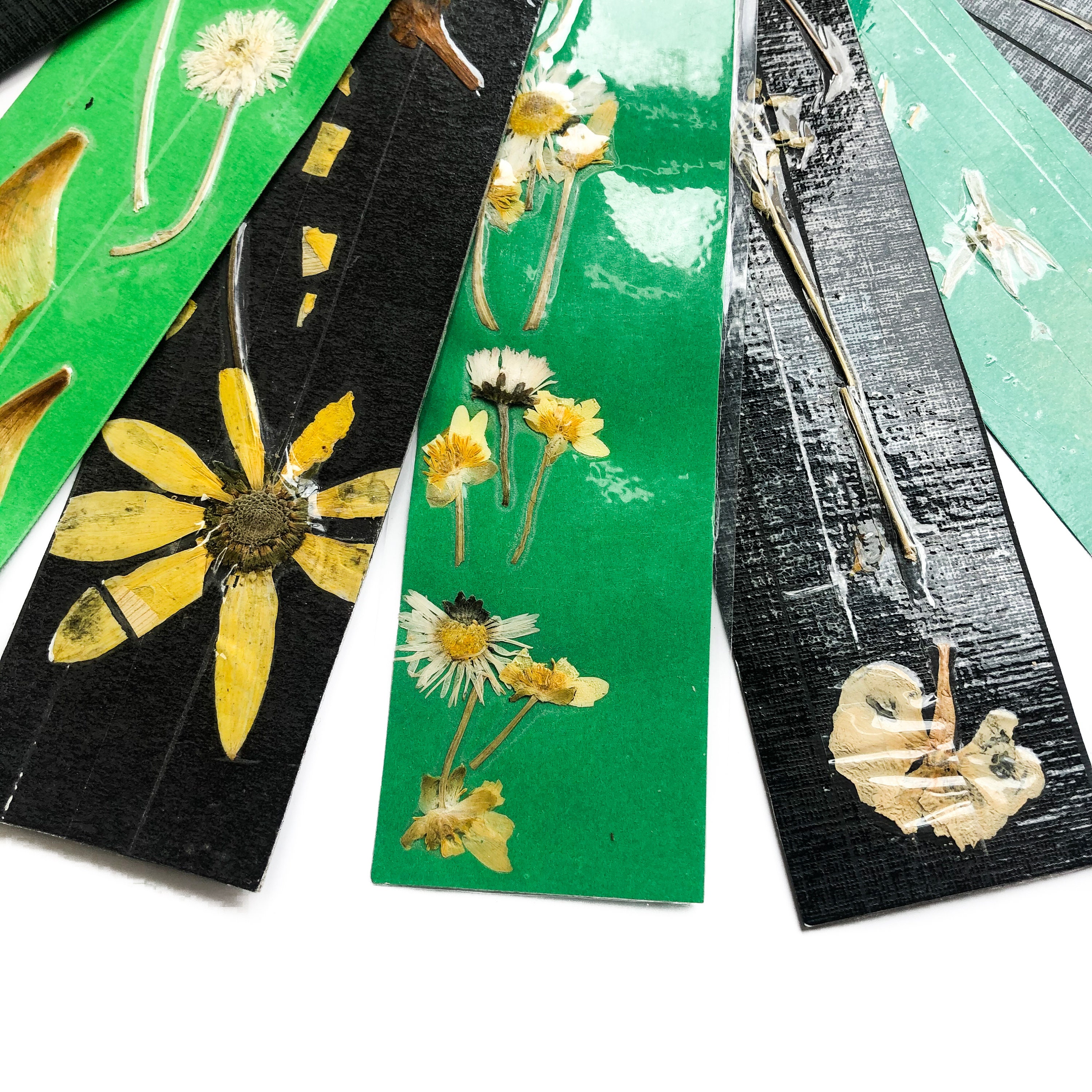 Black & Green Set of PRESSED FLOWER BOOKMARKS // Set of Four ...
