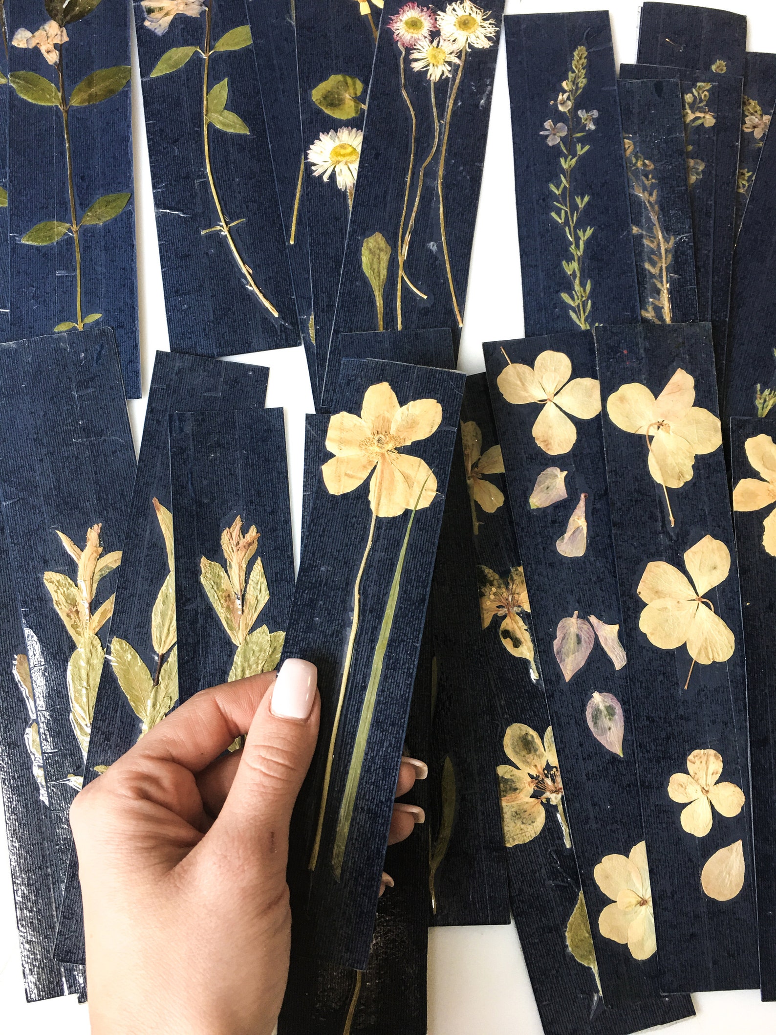 PRESSED FLOWER BOOKMARKS Set of Four Natural Real Pressed Flower ...