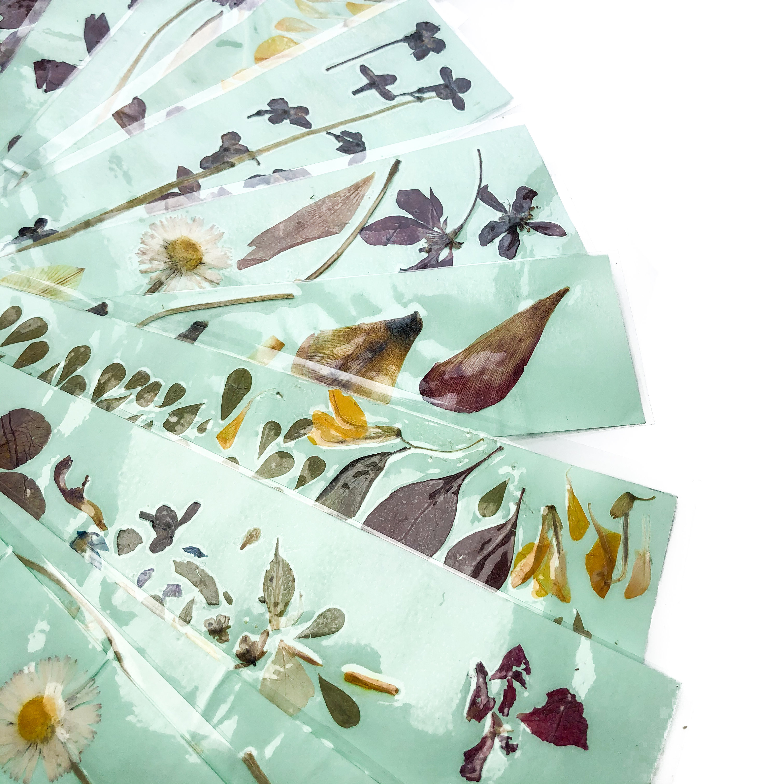 PRESSED FLOWER BOOKMARKS // Set of Three // Pastel Green Natural ...