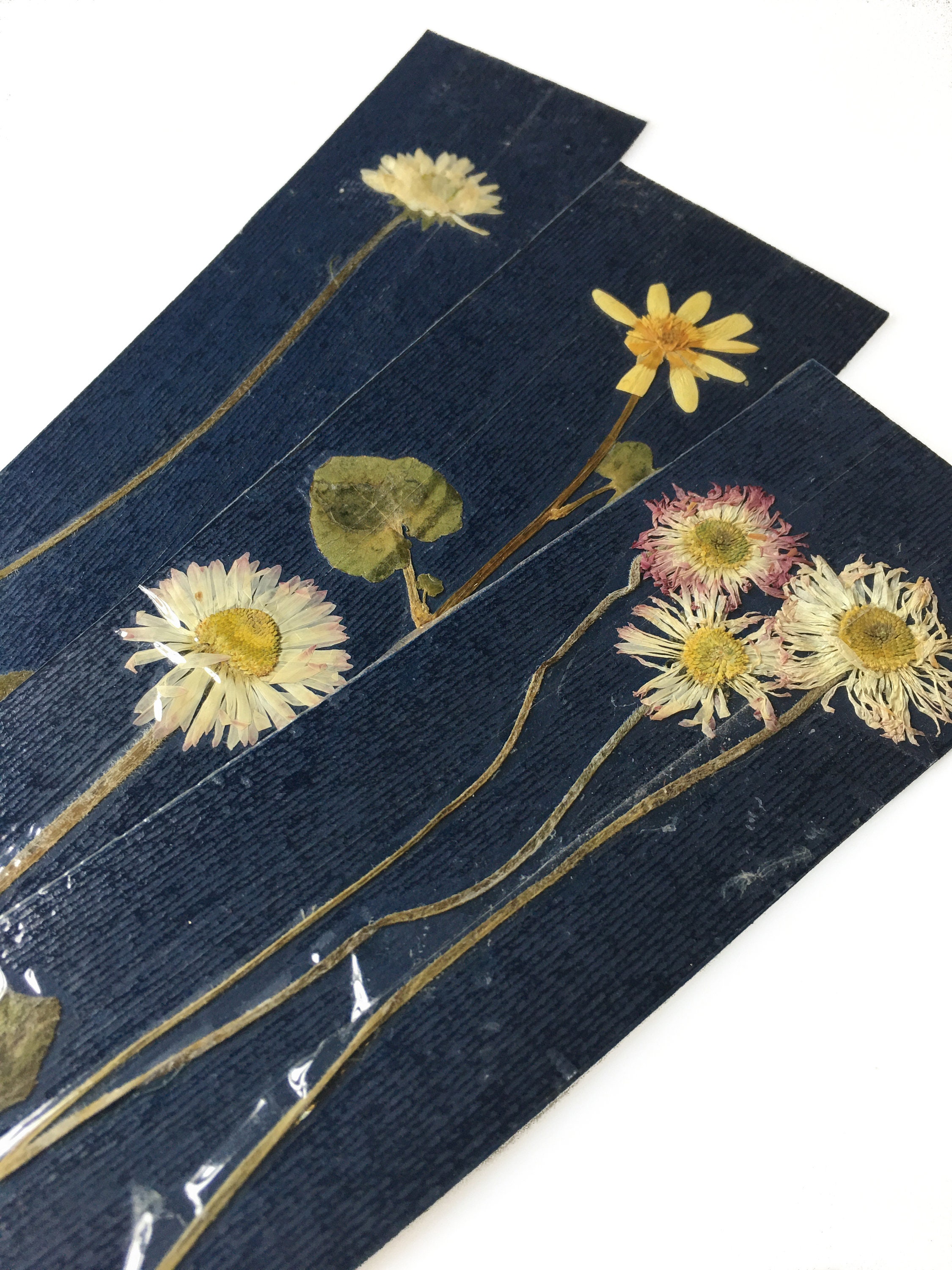 PRESSED FLOWER BOOKMARKS Set of Four Natural Real Pressed Flower ...