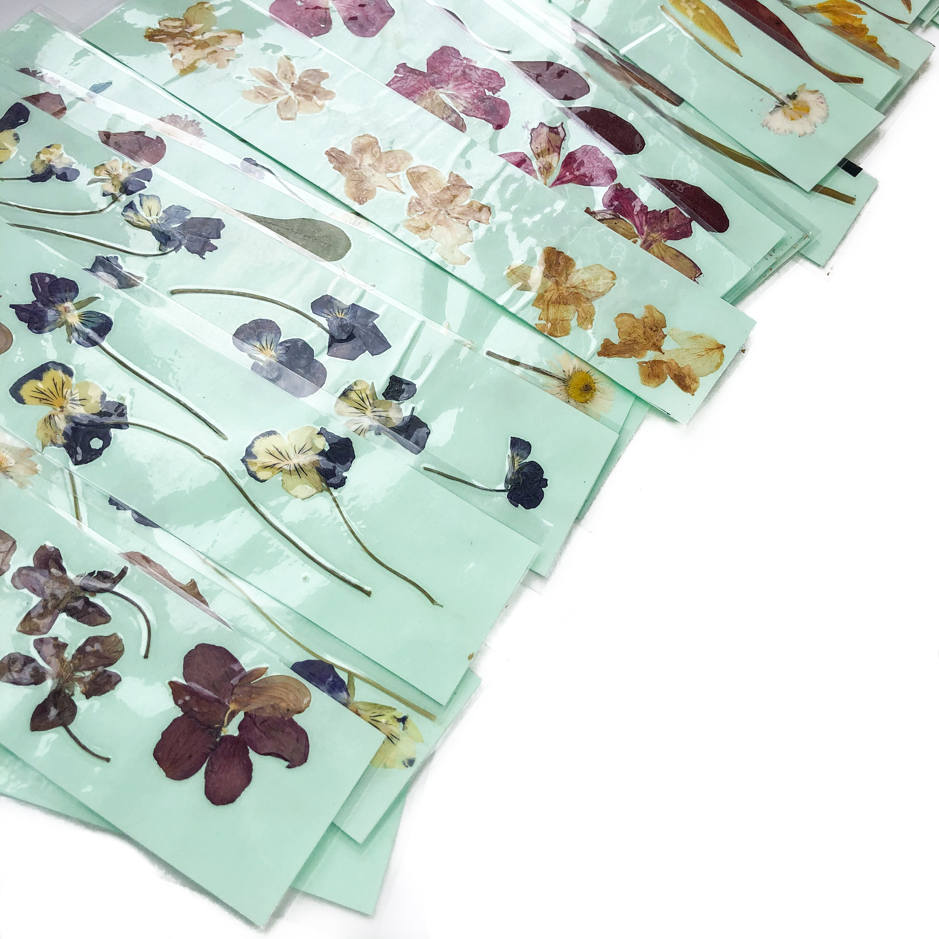 PRESSED FLOWER BOOKMARKS // Set of Three // Pastel Green Natural ...