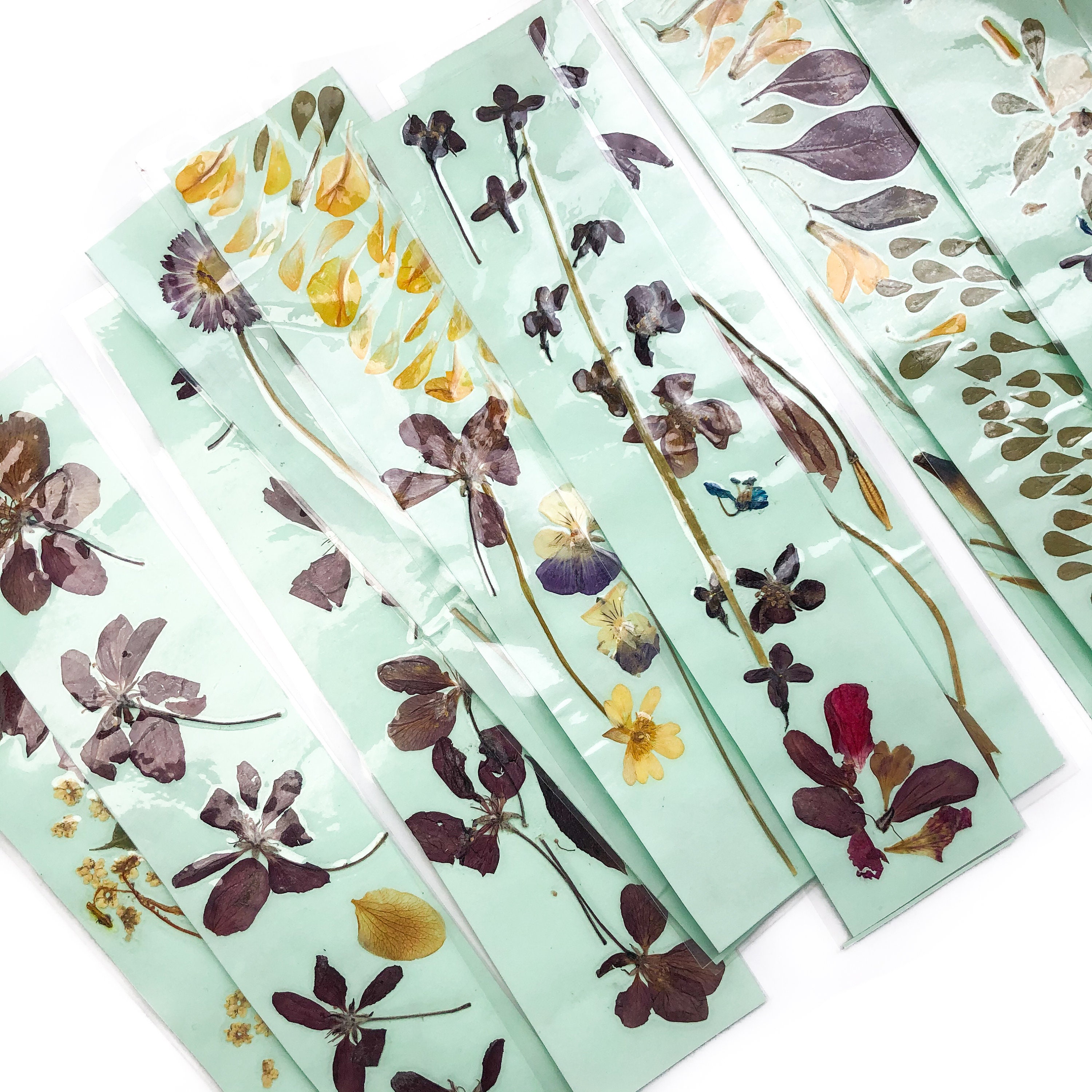 PRESSED FLOWER BOOKMARKS // Set of Three // Pastel Green Natural ...