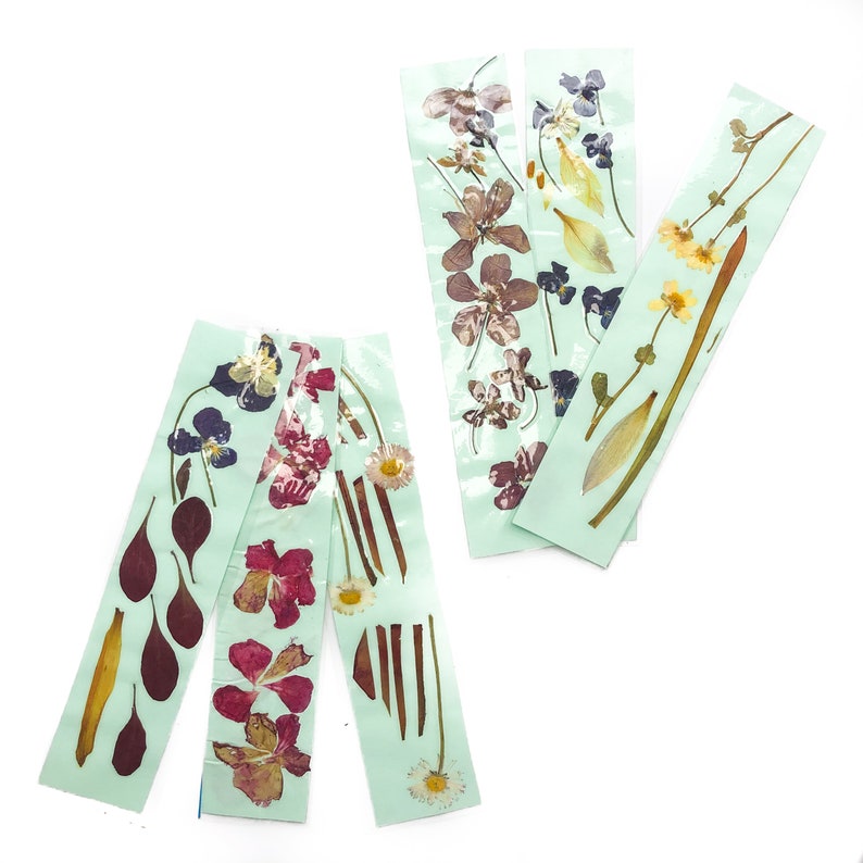 PRESSED FLOWER BOOKMARKS // Set of Three // Pastel Green Natural ...