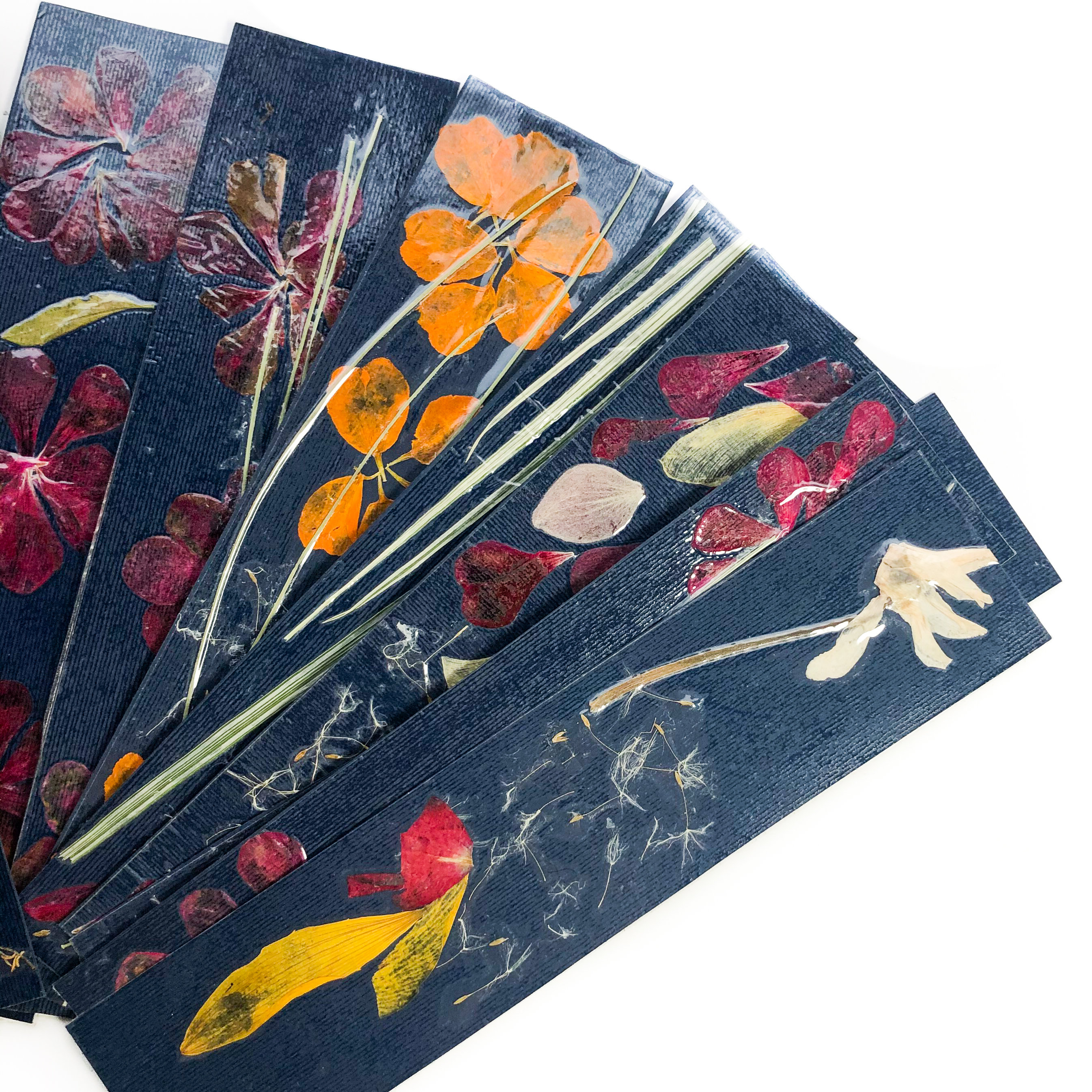 Set Of 4 Packets Real Pressed Flowers Includes 2 DIY Flowers Wooden