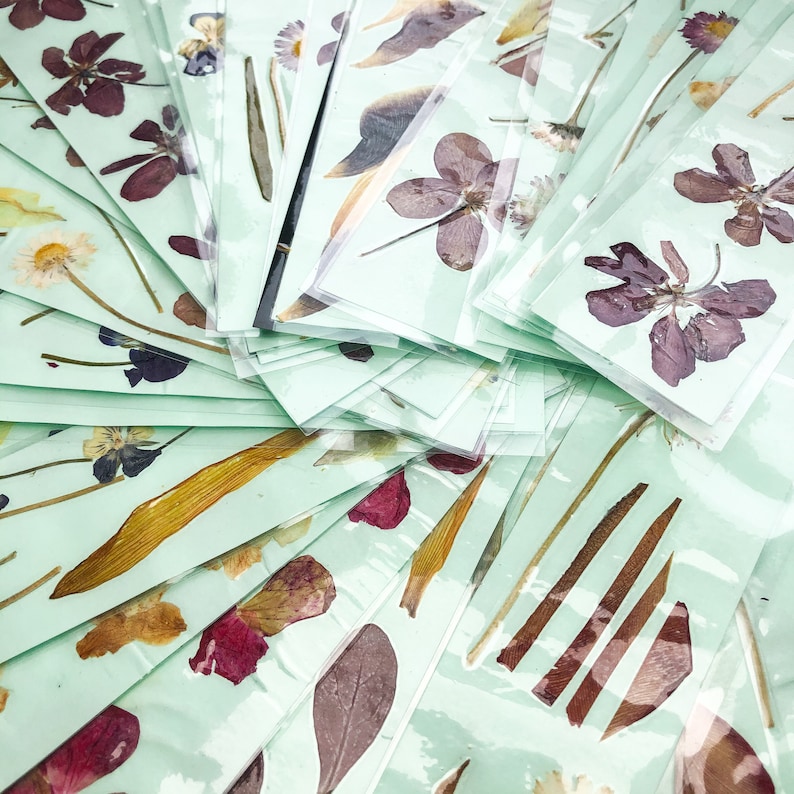 PRESSED FLOWER BOOKMARKS // Set of Three // Pastel Green Natural ...