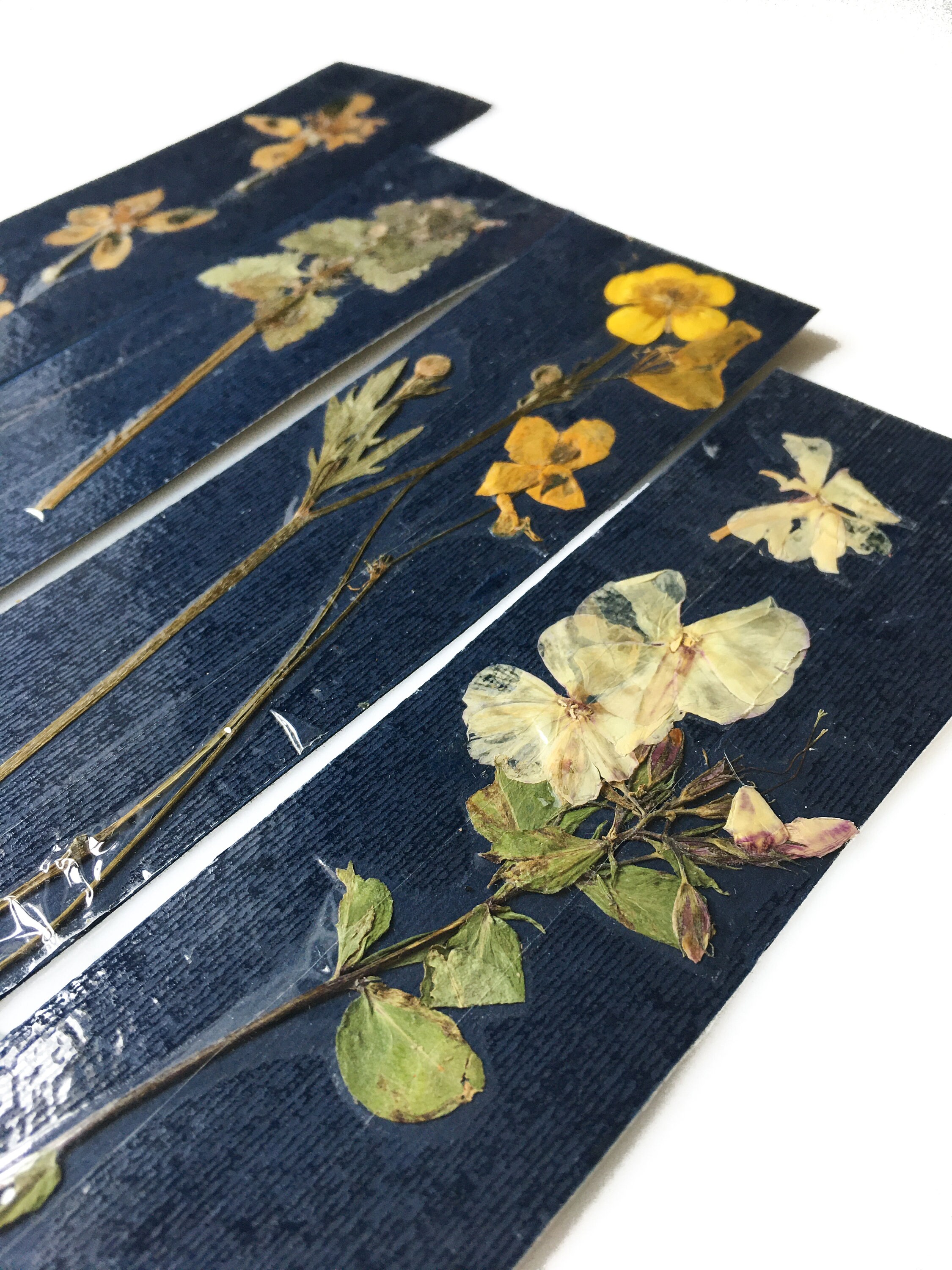 PRESSED FLOWER BOOKMARKS Set of Four Natural Real Pressed Flower ...