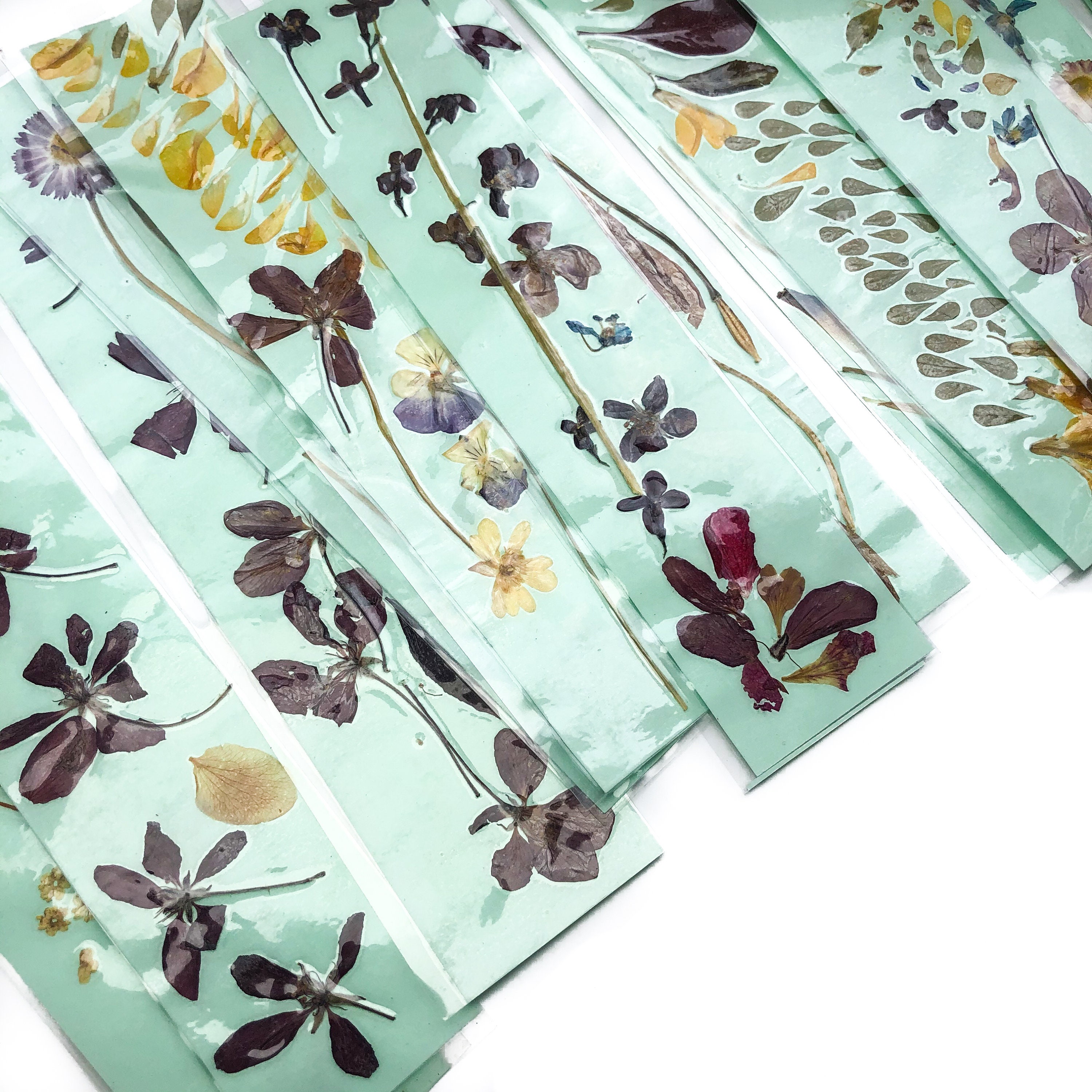 PRESSED FLOWER BOOKMARKS // Set of Three // Pastel Green Natural ...