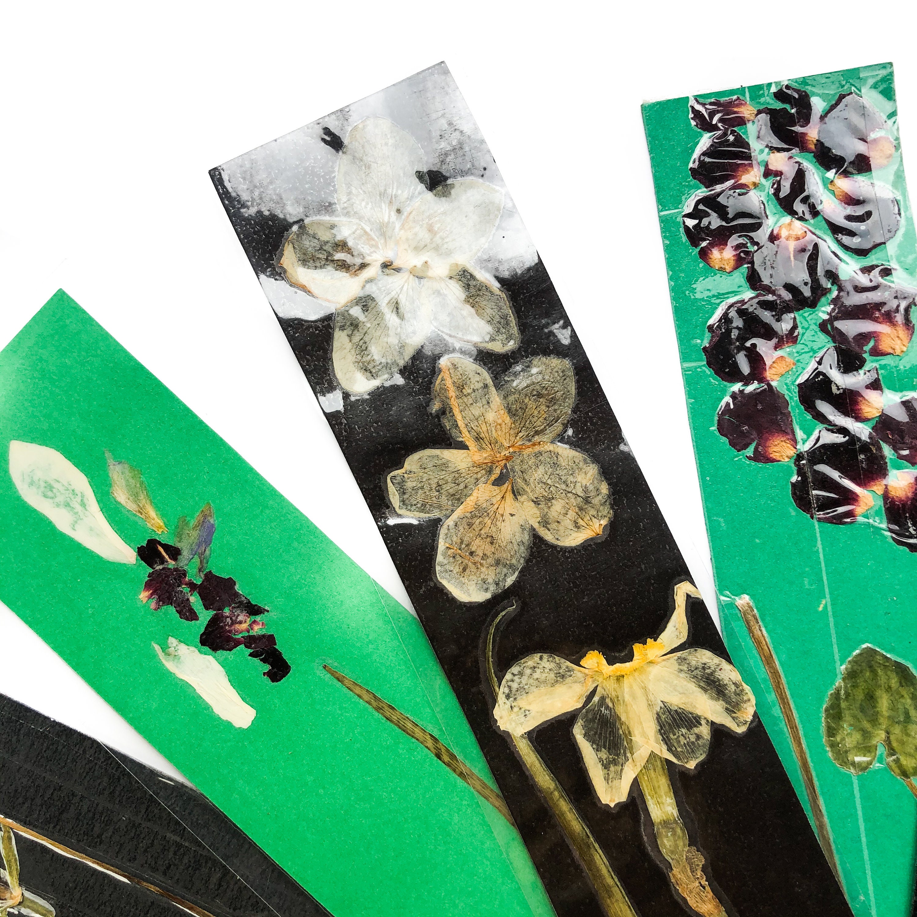 Black & Green Set of PRESSED FLOWER BOOKMARKS // Set of Four ...