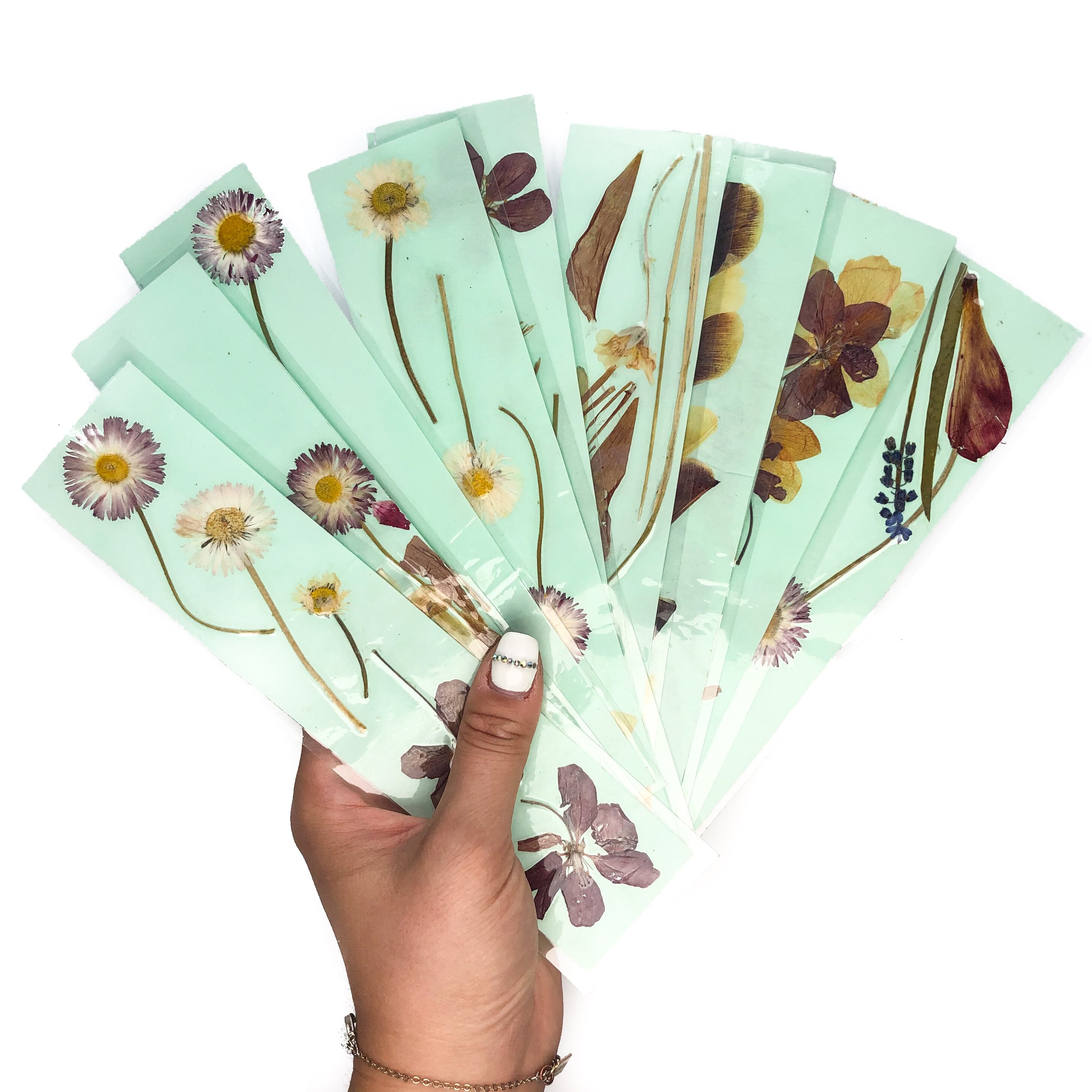PRESSED FLOWER BOOKMARKS // Set of Three // Pastel Green Natural ...