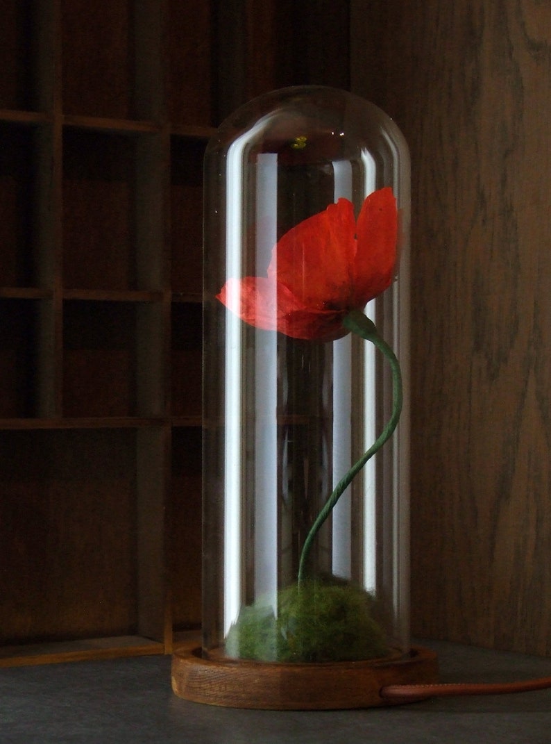 K&ouml;nnte beinhalten: Eine einzelne rote Mohnblume, die unter einer Glasglocke mit einem gr&uuml;nen Stiel und einer Moosbasis konserviert ist. Die Glocke sitzt auf einem Holzsockel.