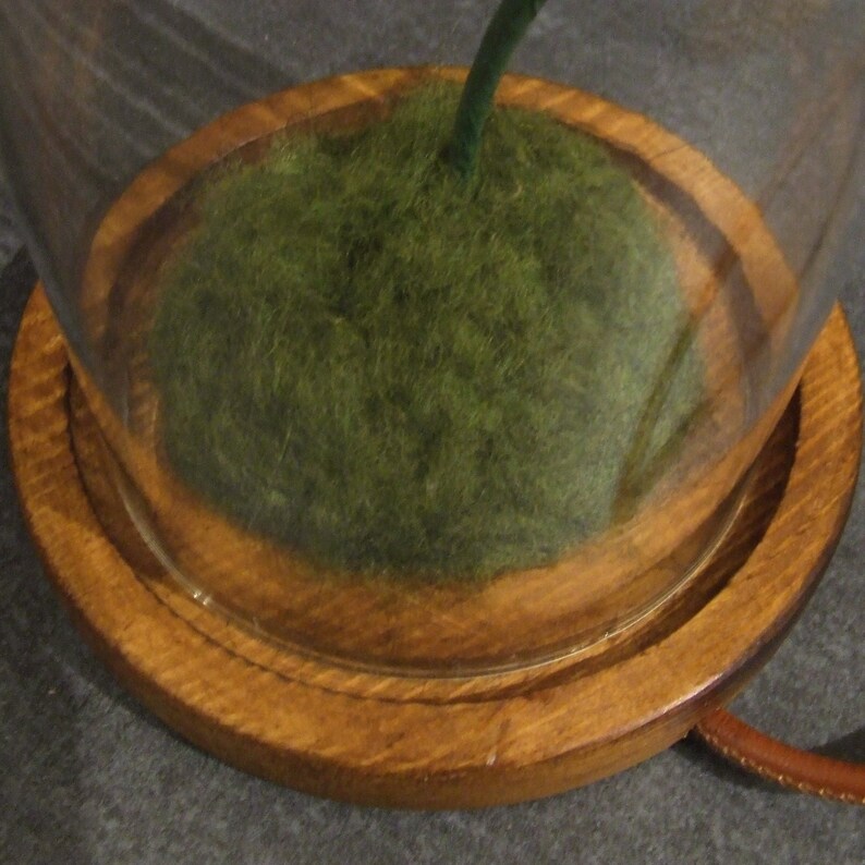K&ouml;nnte beinhalten: Eine Glaskuppel mit einem Holzsockel steht auf einer grauen Oberfl&auml;che. Die Kuppel ist mit gr&uuml;nem Moos gef&uuml;llt.