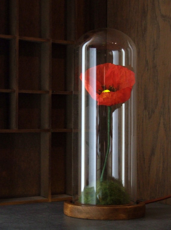 Flower licht: Papaver luminosum II