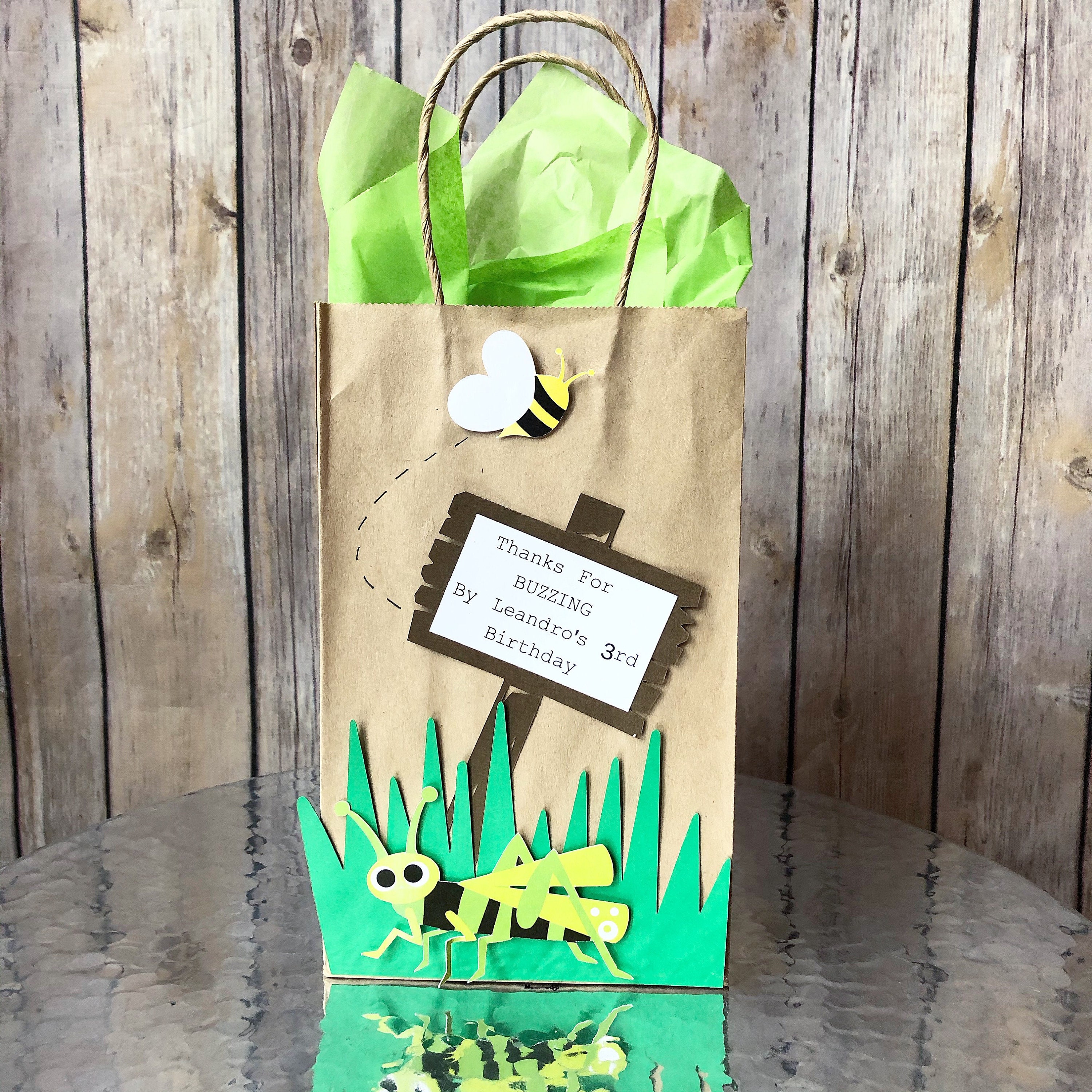Bug Birthday Party Favor Bags Goody Bags Insect Party Etsy