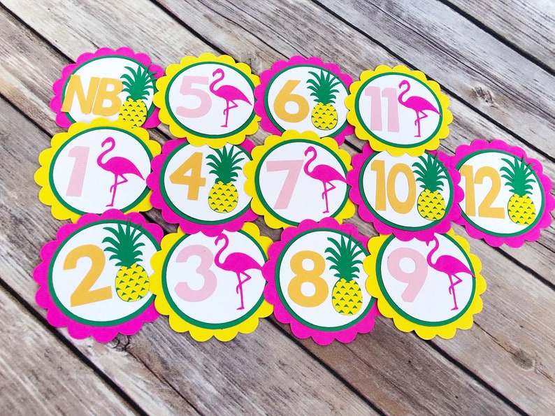 Pineapple Flamingo Birthday Party Banner First Birthday Etsy
