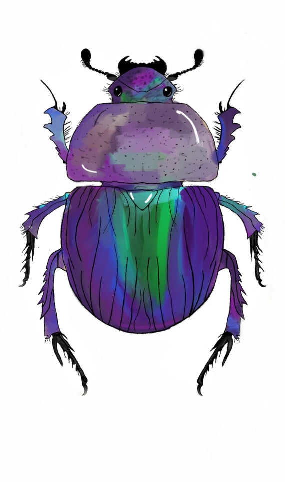 Scarab Bettle Drawing - Etsy