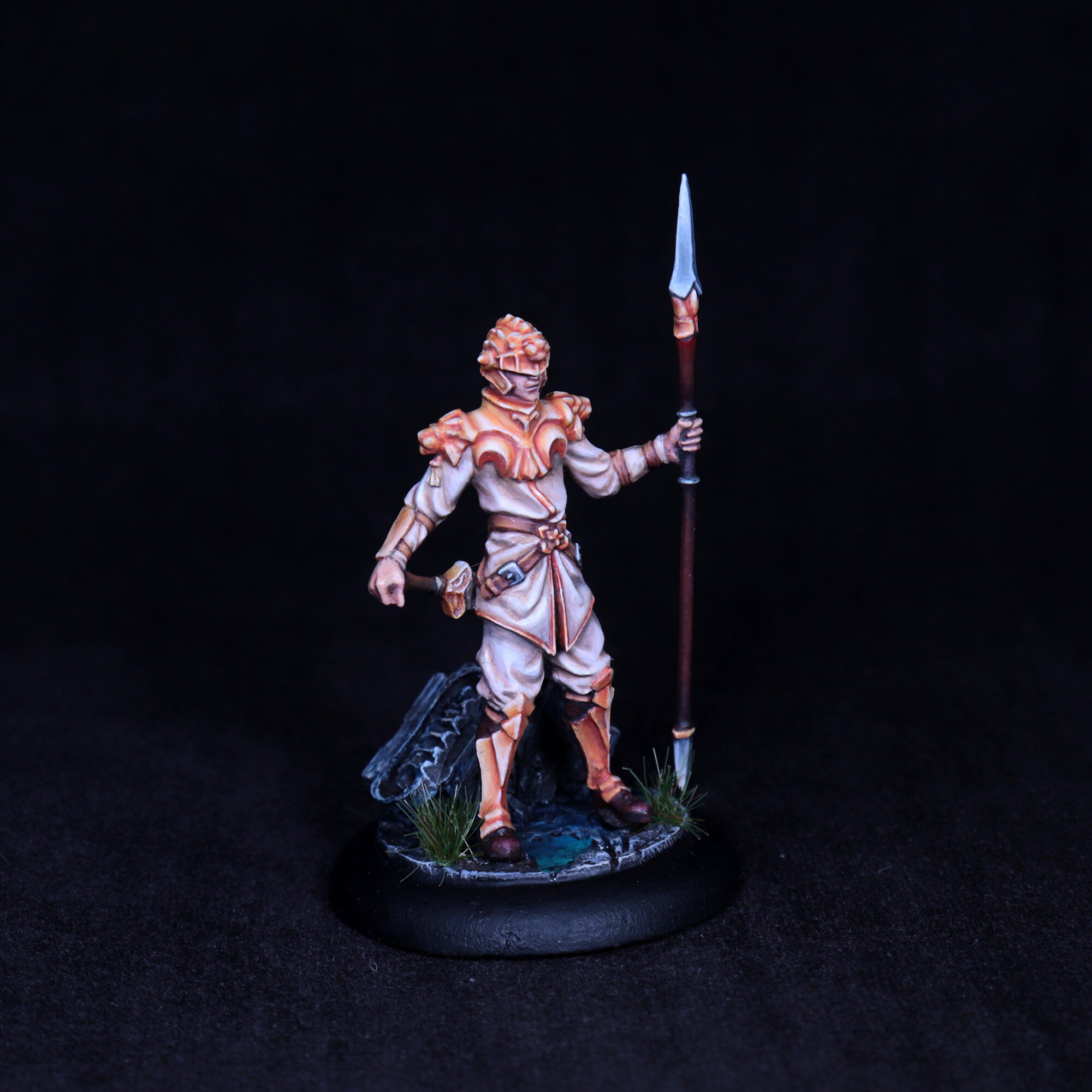 Pro Paint Paladin Miniature, Paint Spearman Miniature, Paint Lancer