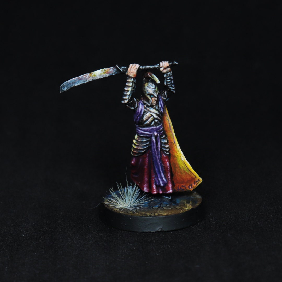 Paint Elf Paladin Miniature Pro Paint D&D Miniature Paint Etsy