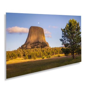 May include: A large, rocky, tan-colored butte rises up against a blue sky with a few white clouds. A single, bright moon is visible in the sky. A green pine tree stands in the foreground, with a grassy field and a forest of trees in the background.