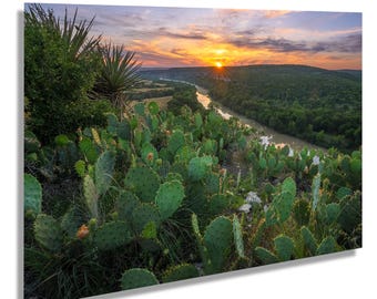 May include: A scenic landscape print featuring a vibrant sunset over a river valley. The foreground showcases a cluster of green cacti, with a backdrop of lush trees and a colorful sky. The artwork is mounted on a white background.