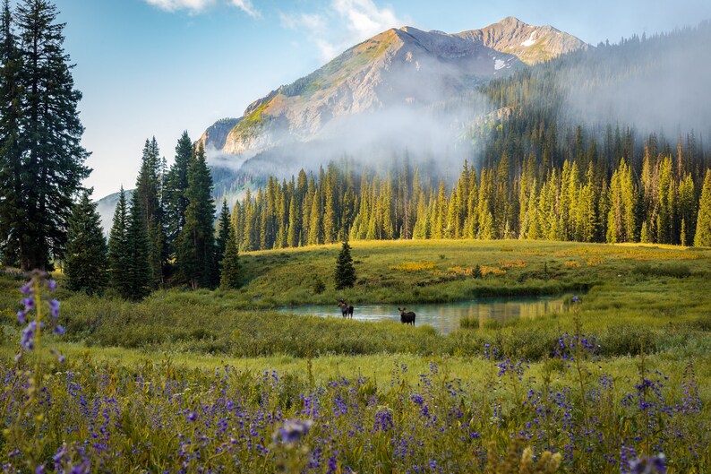 2024 National Parks Calendar J. Moore Outdoor Photography - Etsy 2024 National Parks Calendar J. Moore Outdoor Photography - Etsy