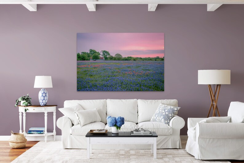 Texas Printcanvas, Metal, or Fine Art Photo Paperoriginal