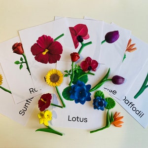 Montessori Druckbare Figur Passende Flash Karten Safari Toob Blumen