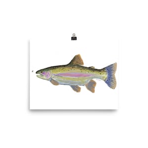 Rainbow Trout Poster Fly Fishing gift art river