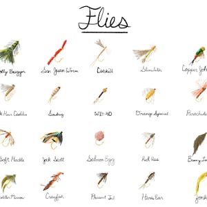 Fly Fishing Poster gift art decor flies trout river art