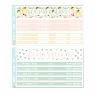 November Monthly Budget Sticker Kit for Use in Erin Condren Life Planner - BN00 - BN02