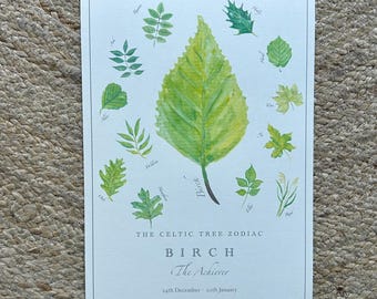 Celtic Tree Zodiac Print – Birch The Achiever, Capricorn Astrology Art