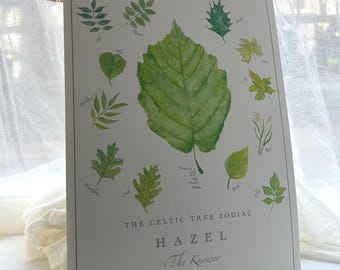 HAZEL Tree Zodiac Print - Celtic Art, Zodiac Art, Birthday Print, Nature Art, Tree Print, Pagan, Leo, Virgo, Folk Art, Memorial Gift, Ogham
