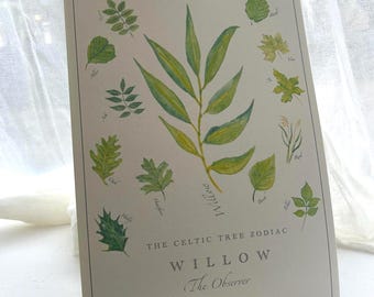 Willow Celtic Tree Zodiac Painted Print – Folklore Astrology Art, Botanical Leaf (A4),