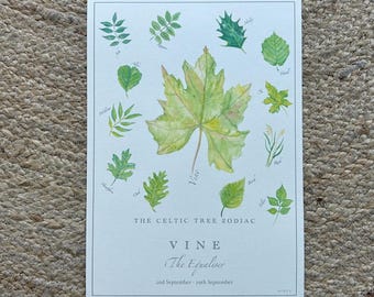 VINE Celtic Tree Zodiac Print - Leaf Art, Scottish Gift, Birthday Print, New Baby Print, Nature Lover Print, Pagan, Libra, Star Sign Print