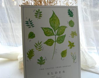 Celtic Elder Tree Zodiac Print -  Birth Sign, Nature Art, Nursery Art, Astrology Print
