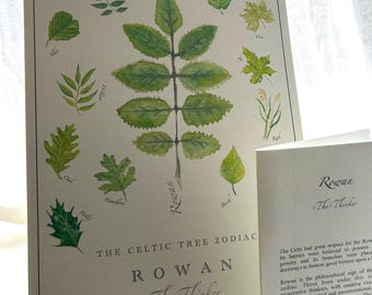 Celtic Tree Zodiac Handpainted Print – Botanical Leaf Art, Astrology, Pagan Druid Sign