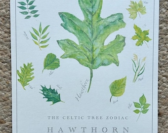 Handpainted Hawthorn Print, Celtic Tree Zodiac  – Birth Sign, Nature Art, Memorial Art